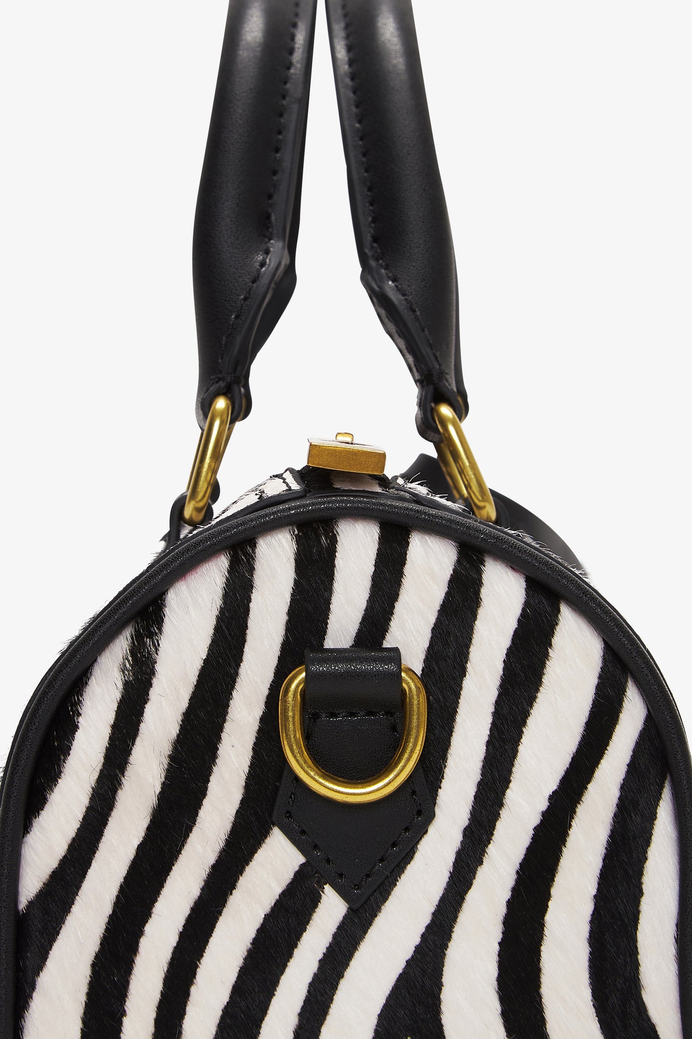 Mini Daily Safari Zebra