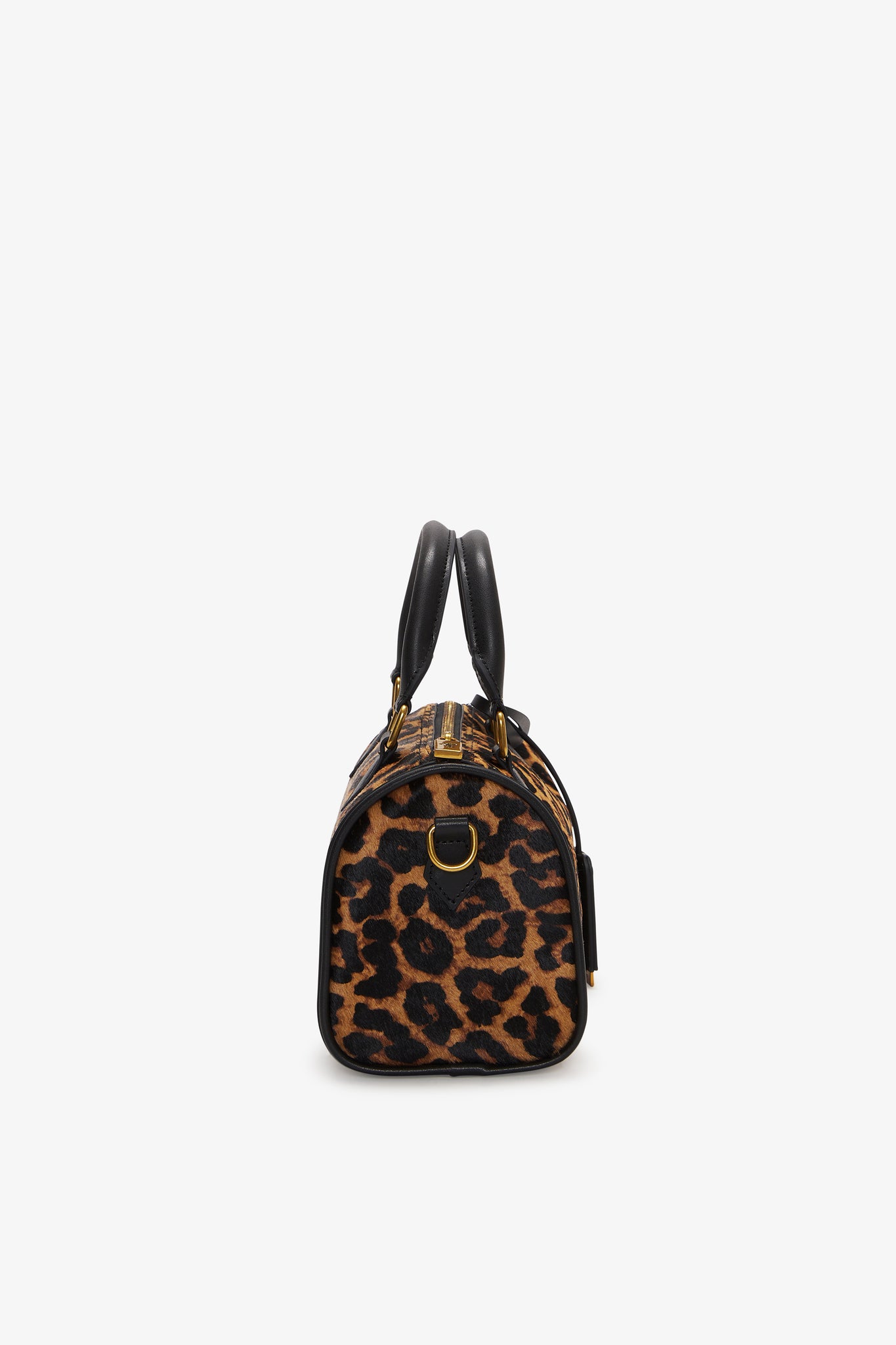 Mini Daily Safari Leopard