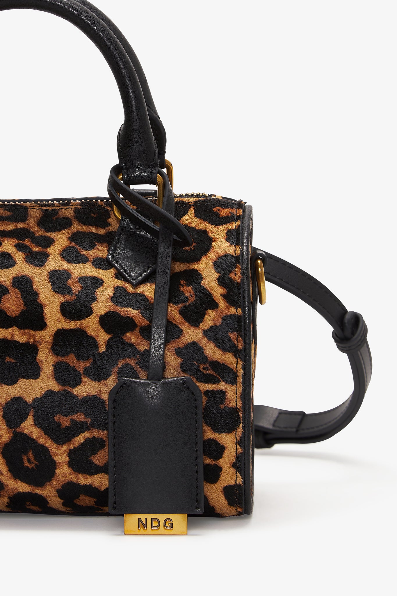 Mini Daily Safari Leopard