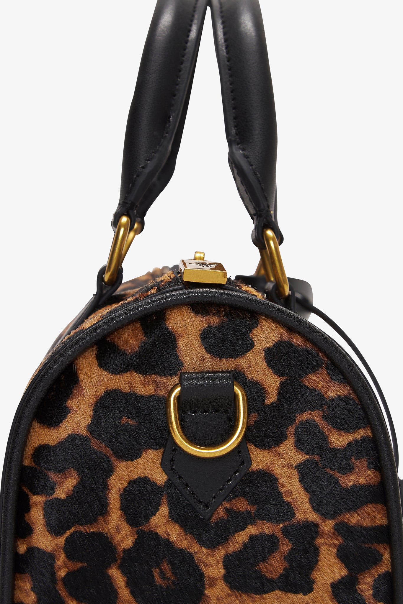 Mini Daily Safari Leopard