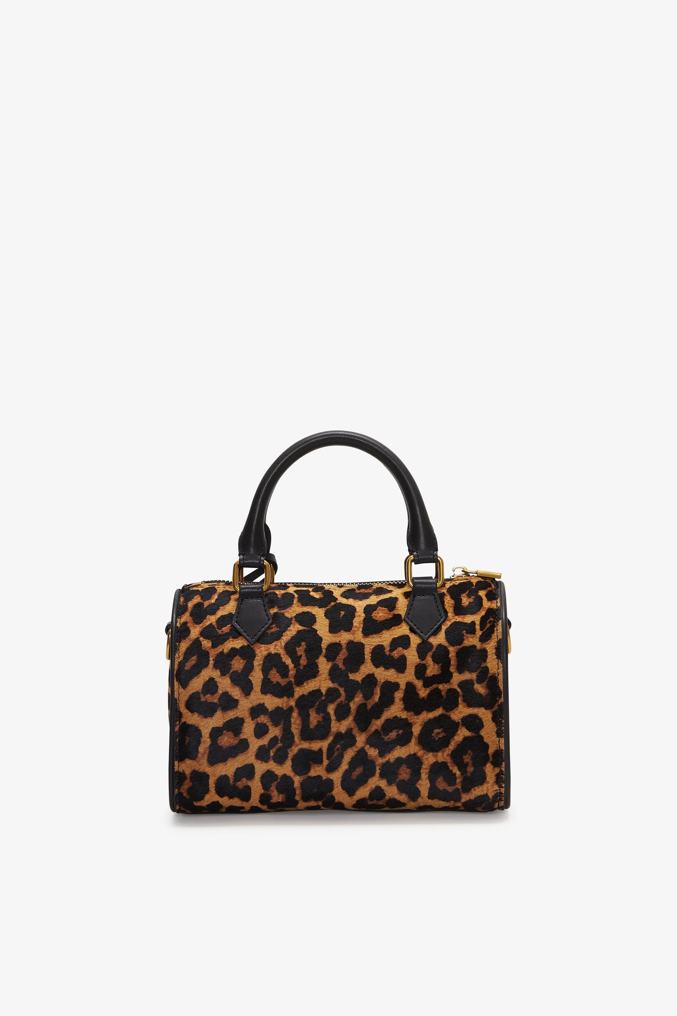 Mini Daily Safari Leopard
