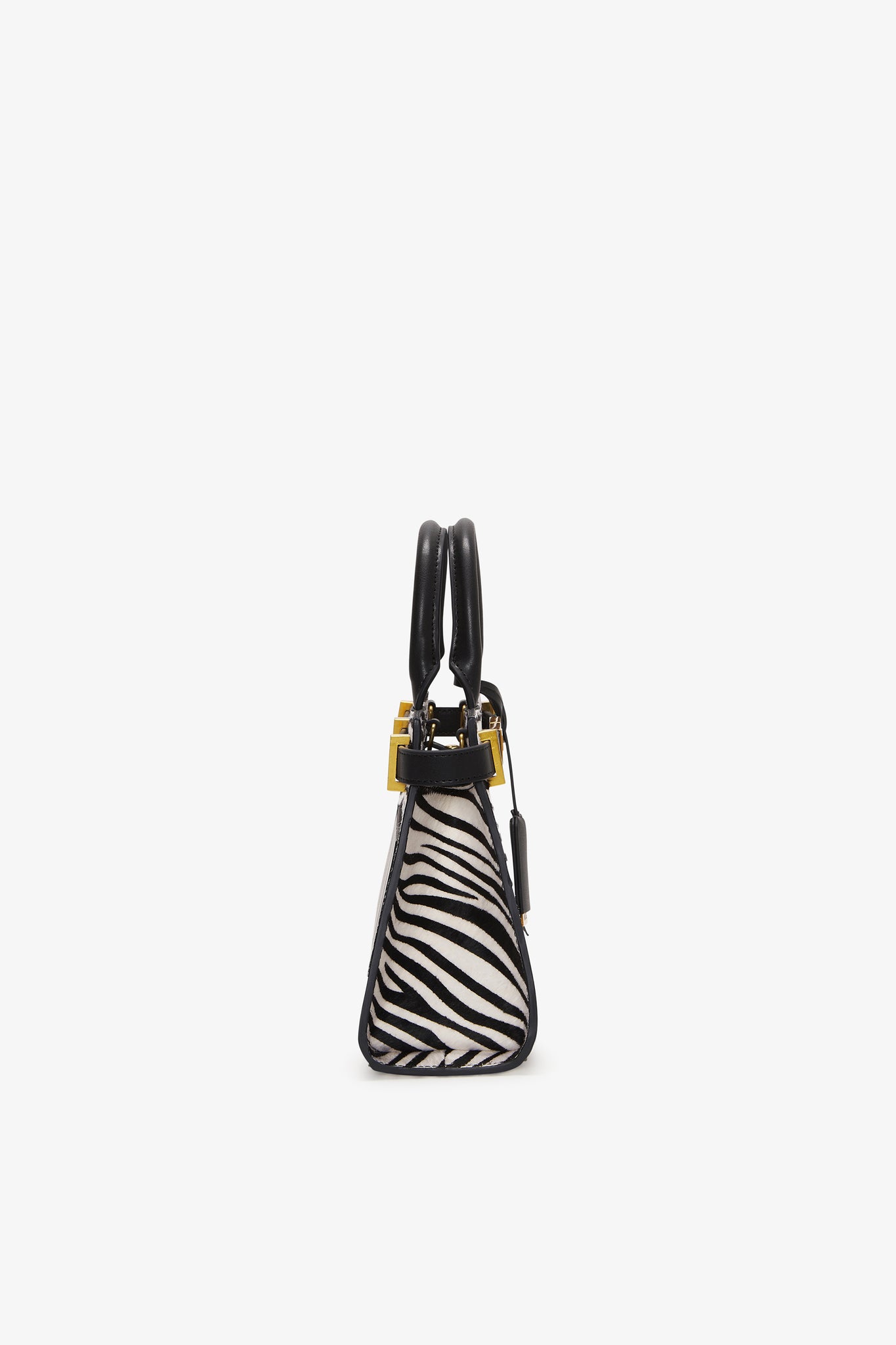 250MM Safari Zebra