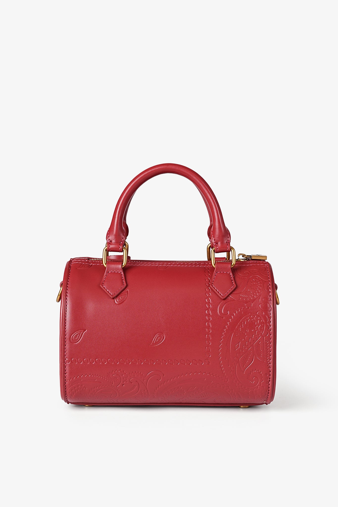 Mini Daily Red Wine Paisley